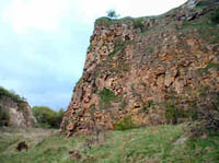 Wingate Nature Reserve